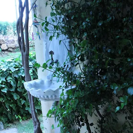 Stone House With Garden In Cunda/ayvalik 度假居 Ayvalı